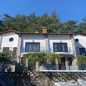 Alp Turkey
